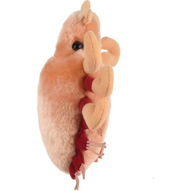 Плюшова іграшка крабовий вошь GIANTmicrobes - изображение 4