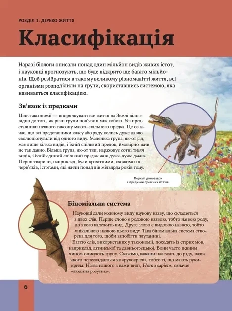 Книга «Дитяча енциклопедія біології». Автор - Том Джексон - Фото 6 Книга «Дитяча енциклопедія біології». Автор - Том Джексон - зображення 6