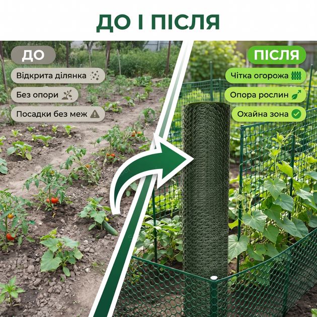 Сітка пластикова AgroStar 1,5х20м для огорожі грядок саду дачі комірка 20х20мм екструдована зелена - зображення 4