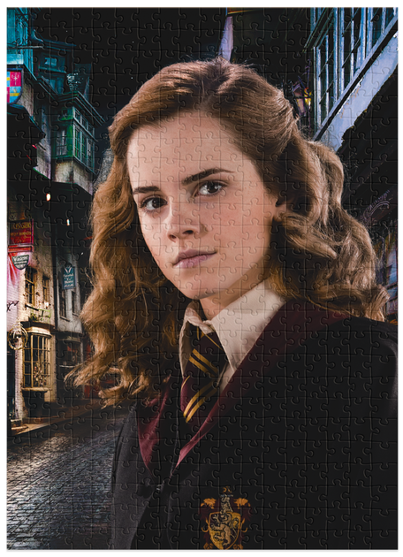 Пазл Hard-M Harry Potter. Портрет Герміони 200577 - изображение 4