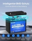 Акумулятор DC HOUSE LiFePO4 12В 100A 1280 Вт/год Bluetooth - изображение 2