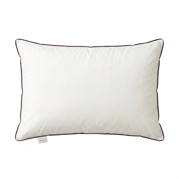 Набор подушек Mercury Home Textile Shuixingjiafang Антибактериальная 48х74 см 2 шт. - Фото 1 Набор подушек Mercury Home Textile Shuixingjiafang Антибактериальная 48х74 см 2 шт. - изображение 1