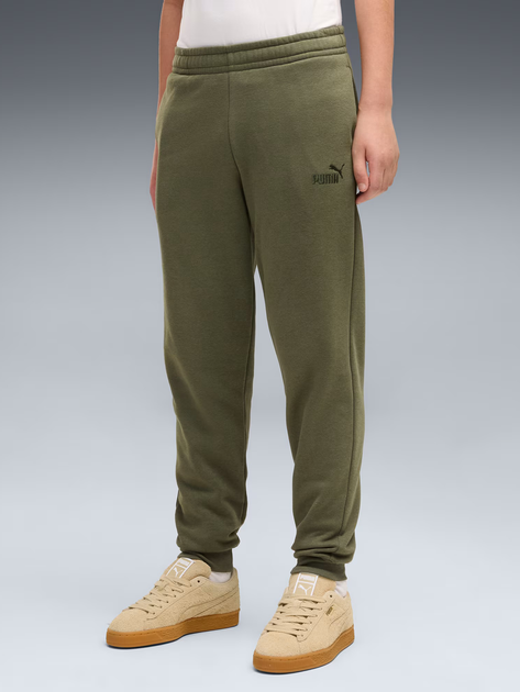 Подростковые спортивные штаны для мальчиков Puma Essentials No.1 Logo 68491286 170-176 см Moss Veil (4070033444979) - Фото 1 Подростковые спортивные штаны для мальчиков Puma Essentials No.1 Logo 68491286 170-176 см Moss Veil (4070033444979) - изображение 1