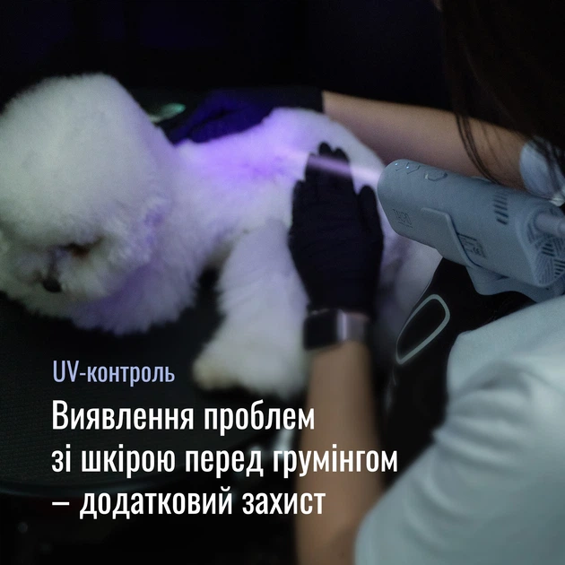 Фен Tauro Pro Line Універсальний для тварин з гнучкою системою кріплення на шиї з вилкою ЄС помаранчевий - зображення 6