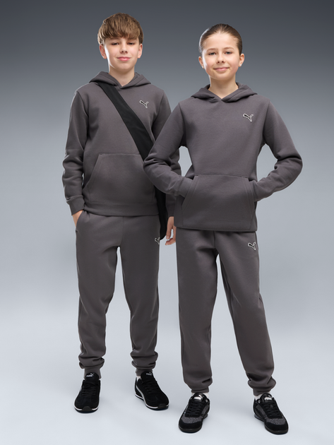 Подростковое худи Puma Essentials Elevated 69470134 158-164 см Moody Gray (4070033472903) - Фото 3 Подростковое худи Puma Essentials Elevated 69470134 158-164 см Moody Gray (4070033472903) - изображение 3