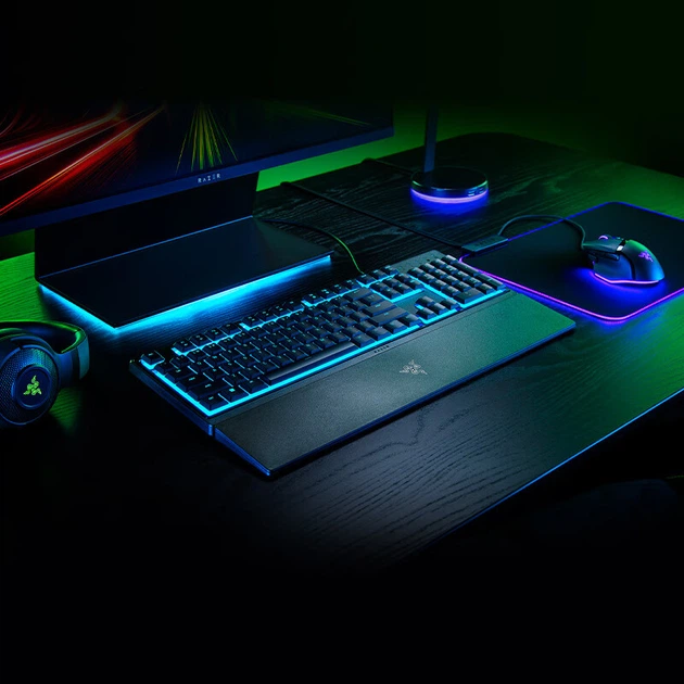 Клавиатура Razer Rainforest Wolf Spider V3 X - изображение 5