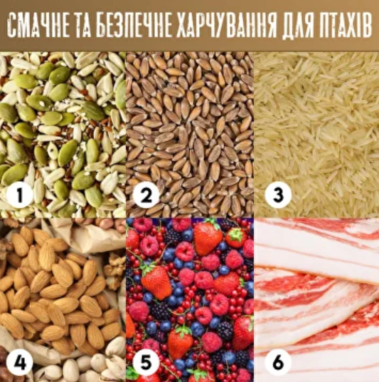 Подвесная кормушка для птиц, уличная кормушка размером 13,5 х 12,5 х 10 см - Фото 3 Подвесная кормушка для птиц, уличная кормушка размером 13,5 х 12,5 х 10 см - изображение 3