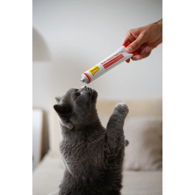 Вітаміни GimCat Every Day Extra мультивітамінна паста для котів для покращення імунітета 200 г - изображение 2