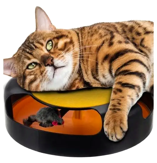 Игрушка для кота колесо с мышкой когтеточка для домашних кошек диаметр 25 см пластик черный LS-3171 - изображение 2