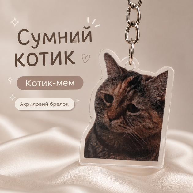 Акриловий брелок Котик-мем Сумний котик 4х3,5 см - Фото 1 Акриловий брелок Котик-мем Сумний котик 4х3,5 см - зображення 1