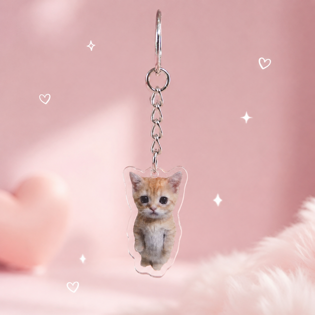 Набір акрилових брелоків Коти меми 6 шт Банан котик, Crying Cat, T-Pose Cat - Фото 8 Набір акрилових брелоків Коти меми 6 шт Банан котик, Crying Cat, T-Pose Cat - зображення 8