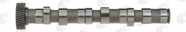Розподільний вал AE CAM702 Audi A8, A6, A4, Allroad; Volkswagen Passat; Skoda Superb 059109022BD, 059109022L, 059109022P - Фото 1 Розподільний вал AE CAM702 Audi A8, A6, A4, Allroad; Volkswagen Passat; Skoda Superb 059109022BD, 059109022L, 059109022P - изображение 1