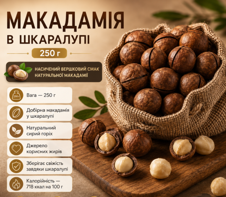 Макадамия в скорлупе 250 г натуральный сырой орех высшего качества - Фото 1 Макадамия в скорлупе 250 г натуральный сырой орех высшего качества - изображение 1