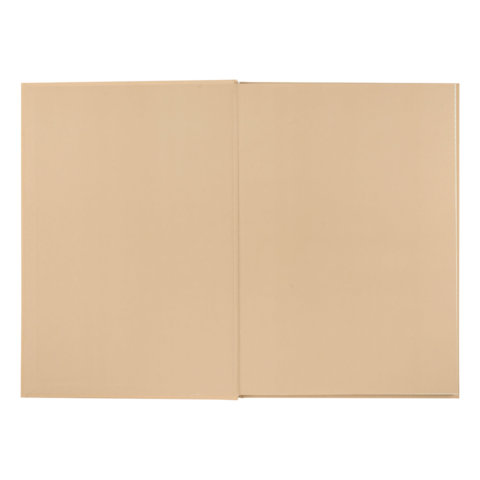 Книга канцелярська тверда обкладинка А4 96 аркушів # офсет BUROMAX MORANDI STYLE, капучино (8) /BM.2400-432i/ - Фото 5 Книга канцелярська тверда обкладинка А4 96 аркушів # офсет BUROMAX MORANDI STYLE, капучино (8) /BM.2400-432i/ - изображение 5