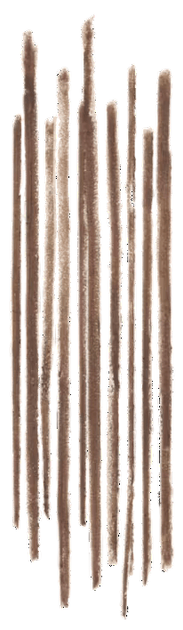 Kredka do brwi Bobbi Brown Precise Warm Brown 0.6 g (716170330020) - Zdjęcie 2 Kredka do brwi Bobbi Brown Precise Warm Brown 0.6 g (716170330020) - obraz 2
