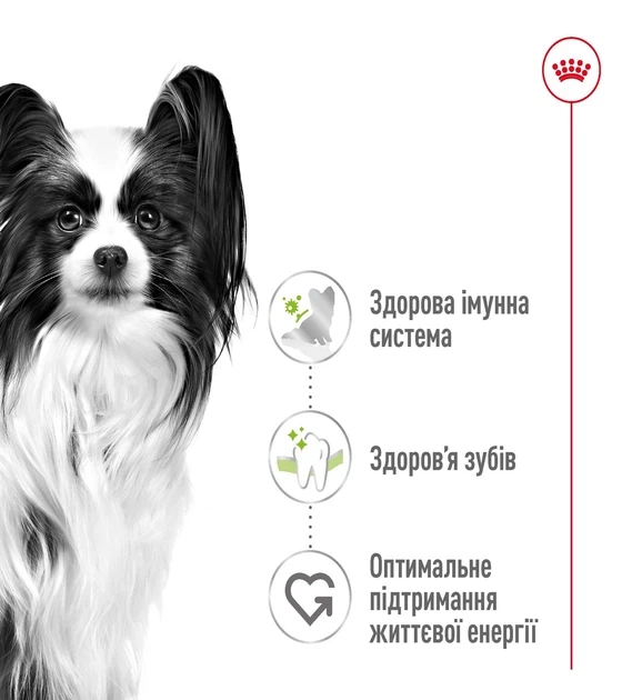 Сухий корм Royal Canin X-Small Adult для дорослих собак мініатюрних порід, 1.5 кг - Фото 2 Сухий корм Royal Canin X-Small Adult для дорослих собак мініатюрних порід, 1.5 кг - зображення 2