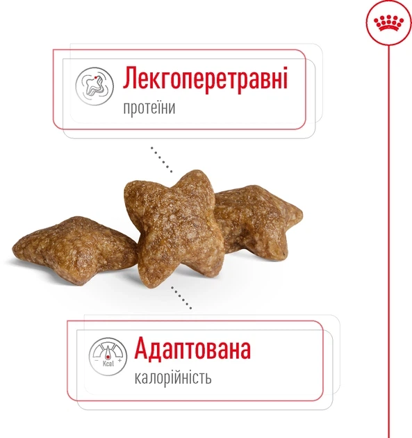 Сухий корм Royal Canin Mini Adult для дорослих собак дрібних порід, 800 г - Фото 4 Сухий корм Royal Canin Mini Adult для дорослих собак дрібних порід, 800 г - зображення 4