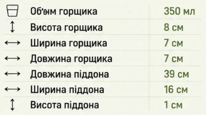Набор для рассады 10 горшков 350 мл + поддон, квадратные пластиковые горшки 7×7×8 см для выращивания рассады, микрозелени, цветов - Фото 2 Набор для рассады 10 горшков 350 мл + поддон, квадратные пластиковые горшки 7×7×8 см для выращивания рассады, микрозелени, цветов - изображение 2