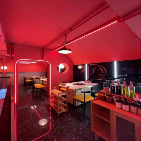 Світлодіодна неонова стрічка NEON 220В JL 2835-120 G IP65 герметична 5 метрів - зображення 4