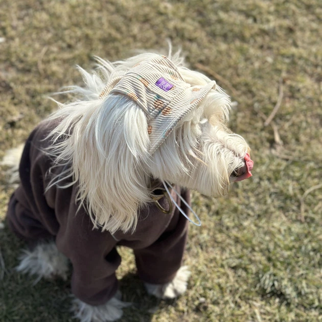 Панама для собак Hat-Dog Джинс XXL - Фото 5 Панама для собак Hat-Dog Джинс XXL - изображение 5
