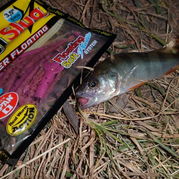 Съедобные слаги UNAGI SLUG 2.5in F13 силиконовые 6,35 см 10 шт (набор 10 шт) - Фото 2 Съедобные слаги UNAGI SLUG 2.5in F13 силиконовые 6,35 см 10 шт (набор 10 шт) - изображение 2