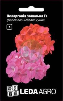 Насіння ЦВЕТЫ ПЕЛАРГОНИЯ ЗОНАЛЬНАЯ ФИОЛЕТОВ КРАСН СМЕСЬ 5ШТ - Фото 1 Насіння ЦВЕТЫ ПЕЛАРГОНИЯ ЗОНАЛЬНАЯ ФИОЛЕТОВ КРАСН СМЕСЬ 5ШТ - зображення 1