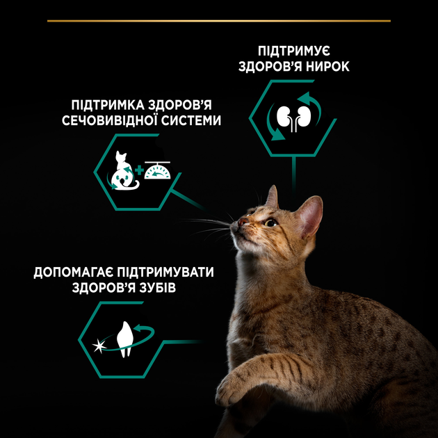 Сухий корм Purina Pro Plan Sterilised Adult 1+ Renal Plus із кроликом для стерилізованих кішок та кастрованих котів 10 кг - зображення 5