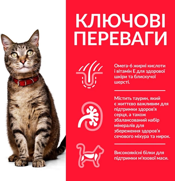Сухой корм для взрослых кошек Hill's Science Plan Adult с ягненком 10 кг - Фото 4 Сухой корм для взрослых кошек Hill's Science Plan Adult с ягненком 10 кг - изображение 4