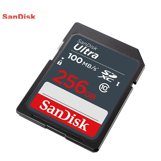 Карта памяти SanDisk SDXC 256 ГБ Class 10 UHS-I U1 V10 (SDSDUNR-256G-GN6IN) - Фото 3 Карта памяти SanDisk SDXC 256 ГБ Class 10 UHS-I U1 V10 (SDSDUNR-256G-GN6IN) - изображение 3