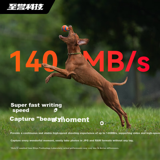 Карта пам'яті Exascend Essential Sharp Speed SDXC 256GB UHS-I U3 V30 + SD-адаптер - зображення 6
