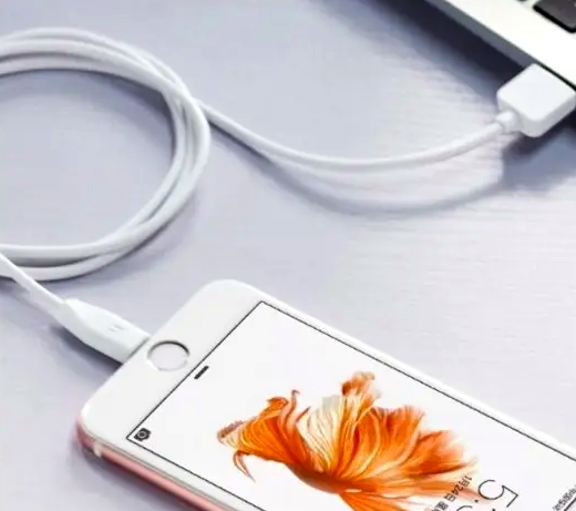 Кабель Hoco X1 Lightning 2м для зарядки и передачи данных с быстрой зарядкой 2.4А белый - Фото 6 Кабель Hoco X1 Lightning 2м для зарядки и передачи данных с быстрой зарядкой 2.4А белый - изображение 6