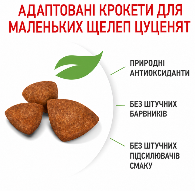 Промо-набор Полнорационный сухой корм для щенков миниатюрных пород Royal Canin SHN X-Small Puppy от 2 до 10 месяцев 400 г + 100 г (1292500793561) - изображение 4