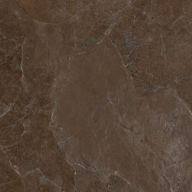 Керамогранітна плитка Allore Group Mariya Brown F P R Mat 60x60 - изображение 4