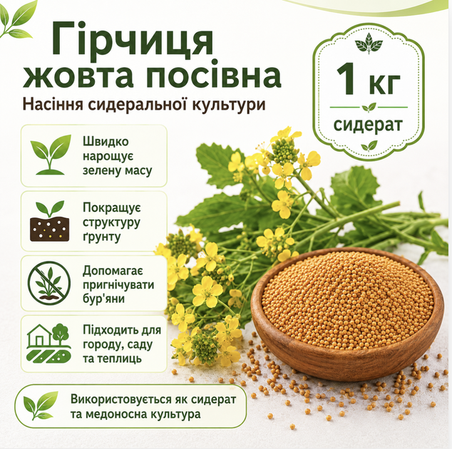 Гірчиця жовта 1кг - сидерат для покращання структури землі, знищення бур'яну - Фото 2 Гірчиця жовта 1кг - сидерат для покращання структури землі, знищення бур'яну - зображення 2