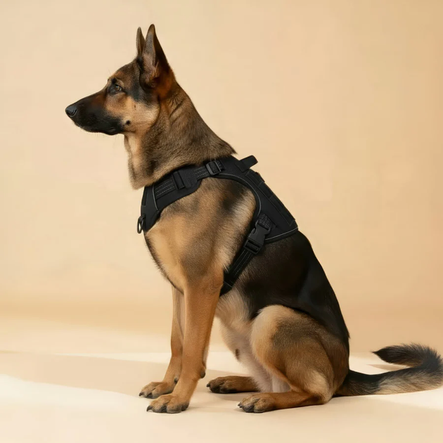 Шлейка для собак Best Friend, тактичний жилет із ручкою та системою MOLLE L, чорний (280L-BLACK) - Фото 7 Шлейка для собак Best Friend, тактичний жилет із ручкою та системою MOLLE L, чорний (280L-BLACK) - зображення 7