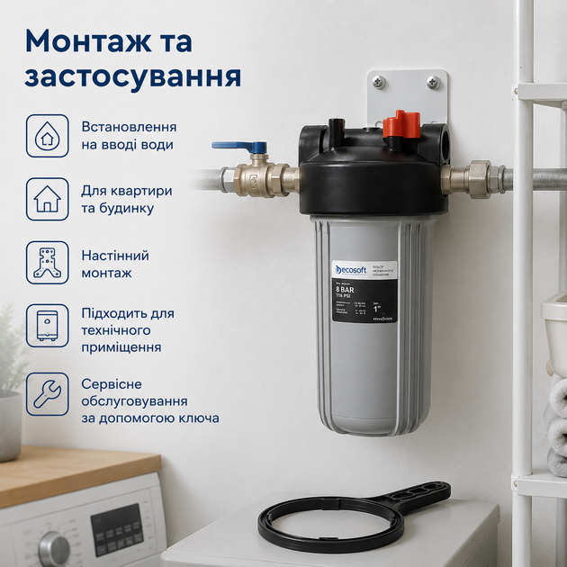 Магістральний корпус фільтра для холодної води Ecosoft Big Blue 10 різьба 1 дюйм - зображення 3