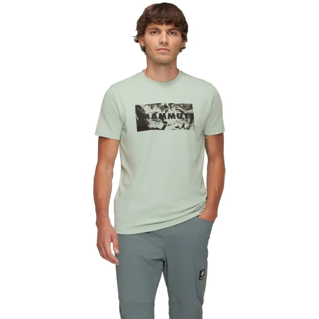 Футболка Mammut Trovat T-Shirt Logo L silver sage - изображение 2