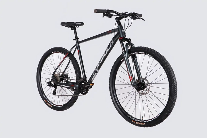 Велосипед горный AL 29" Formula Thor DD CS 2026, рама 21" черный с серебристым (OPS-FR-29-432) - изображение 2