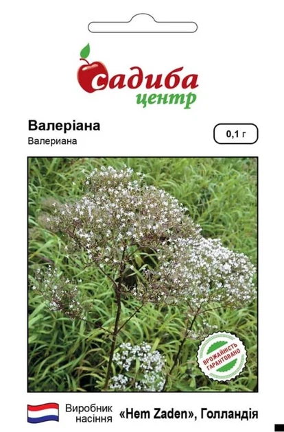 Валериана, 0,1 г, СЦ - Фото 1 Валериана, 0,1 г, СЦ - изображение 1