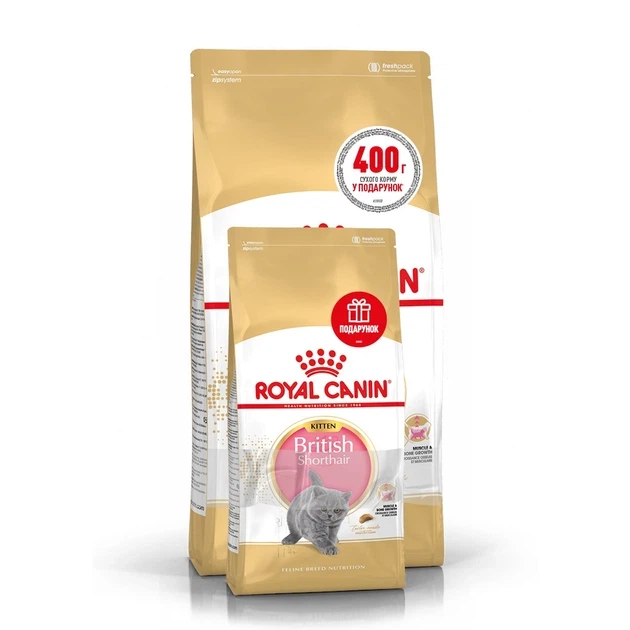 Сухий корм для кошенят Royal Canin British Shorthair Kitten - изображение 8