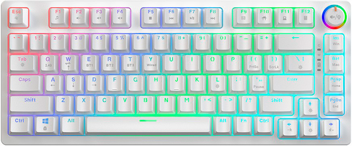 Klawiatura bezprzewodowa Savio Phenix Gateron Yellow Pro Wireless/Bluetooth/USB US White (SAVGK-PHENIX WHITE GAT YELLOW) - Zdjęcie 1 Klawiatura bezprzewodowa Savio Phenix Gateron Yellow Pro Wireless/Bluetooth/USB US White (SAVGK-PHENIX WHITE GAT YELLOW) - obraz 1