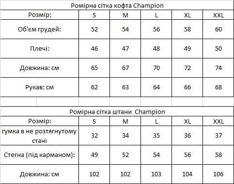 Весняно-осінньо-літній Костюм (бавовна) Champion, чоловічий, зіп худі-штани, чорний, розмір L - изображение 2