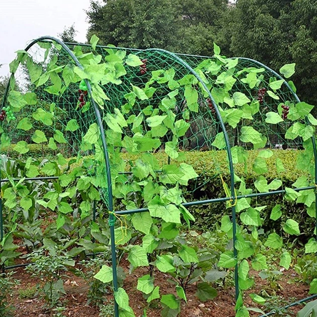 Сітка шпалерна 1,7х10 Agreen огіркова зелена фасована 004356 - Фото 9 Сітка шпалерна 1,7х10 Agreen огіркова зелена фасована 004356 - изображение 9