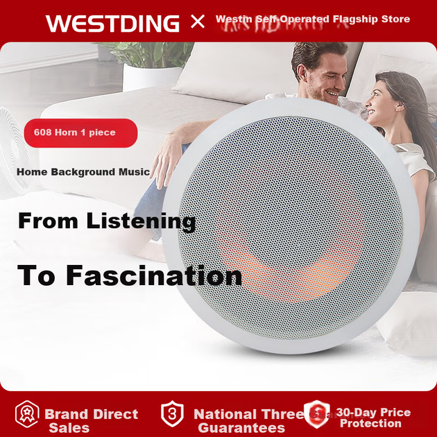 Колонка WESTDING 608 потолочная встраиваемая с фиксированным импедансом - изображение 4