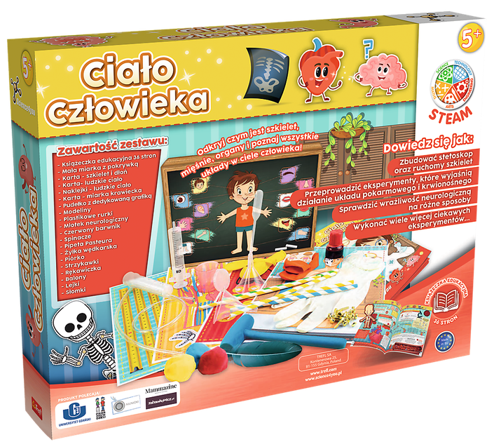 Zestaw do eksperymentów naukowych Trefl Science 4 You Ciało człowieka (61531) (5900511615319) - obraz 2