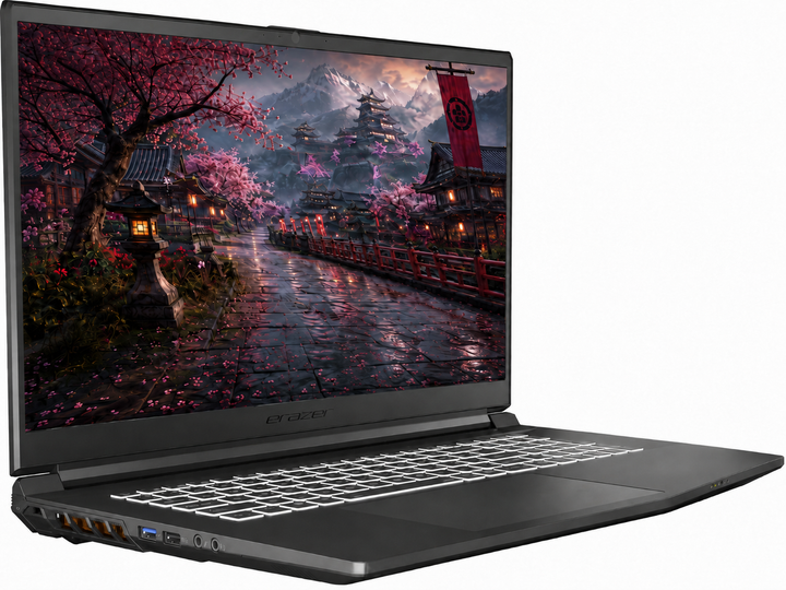 Ігровий ноутбук 17,3" Medion (Lenovo Group) Erazer Scout E20 | IPS (1920x1080) FullHD | 144 Гц | Intel Core i5-13420H | RAM 8 ГБ | SSD 512 ГБ | Nvidia GeForce RTX 4050 | RGB підсвітка клавіатури | Win11 (5387) - Уценка - изображение 5