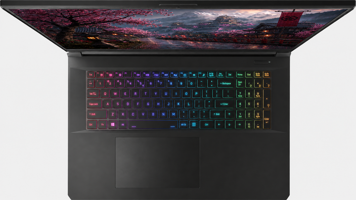 Ігровий ноутбук 17,3" Medion (Lenovo Group) Erazer Scout E20 | IPS (1920x1080) FullHD | 144 Гц | Intel Core i5-13420H | RAM 8 ГБ | SSD 512 ГБ | Nvidia GeForce RTX 4050 | RGB підсвітка клавіатури | Win11 (5387) - Уценка - изображение 6
