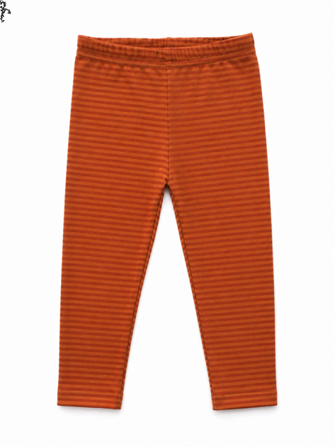 Легінси для дитини оранжева смужка(гладь) ArDoMi 86см(12-18м) (13655) - Фото 1 Легінси для дитини оранжева смужка(гладь) ArDoMi 86см(12-18м) (13655) - изображение 1