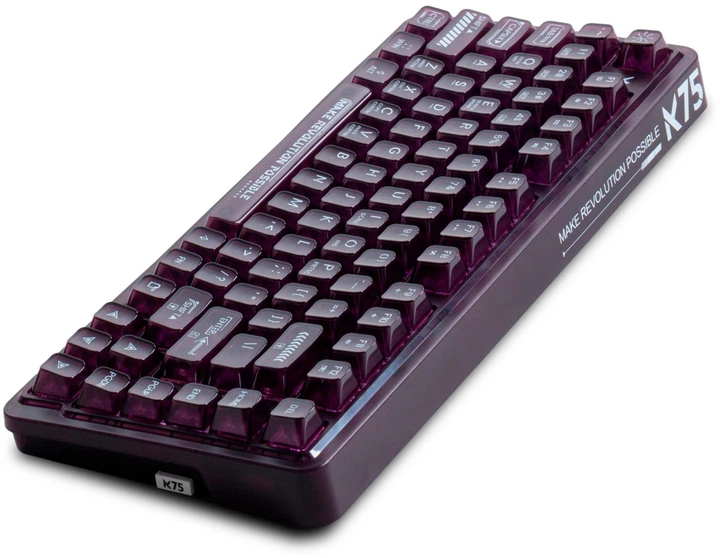 Клавиатура беспроводная Thunderobot K75 TKL RGB Tri-mode Violet Mist Moon Switch Wireless/Bluetooth/USB Purple (6932066305550) - изображение 5
