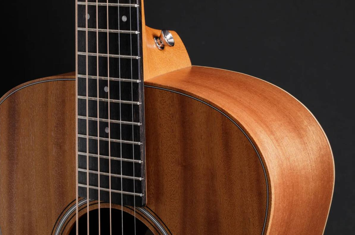 Акустическая гитара TAYLOR GUITARS GS MINI MAHOGANY - Фото 5 Акустическая гитара TAYLOR GUITARS GS MINI MAHOGANY - изображение 5